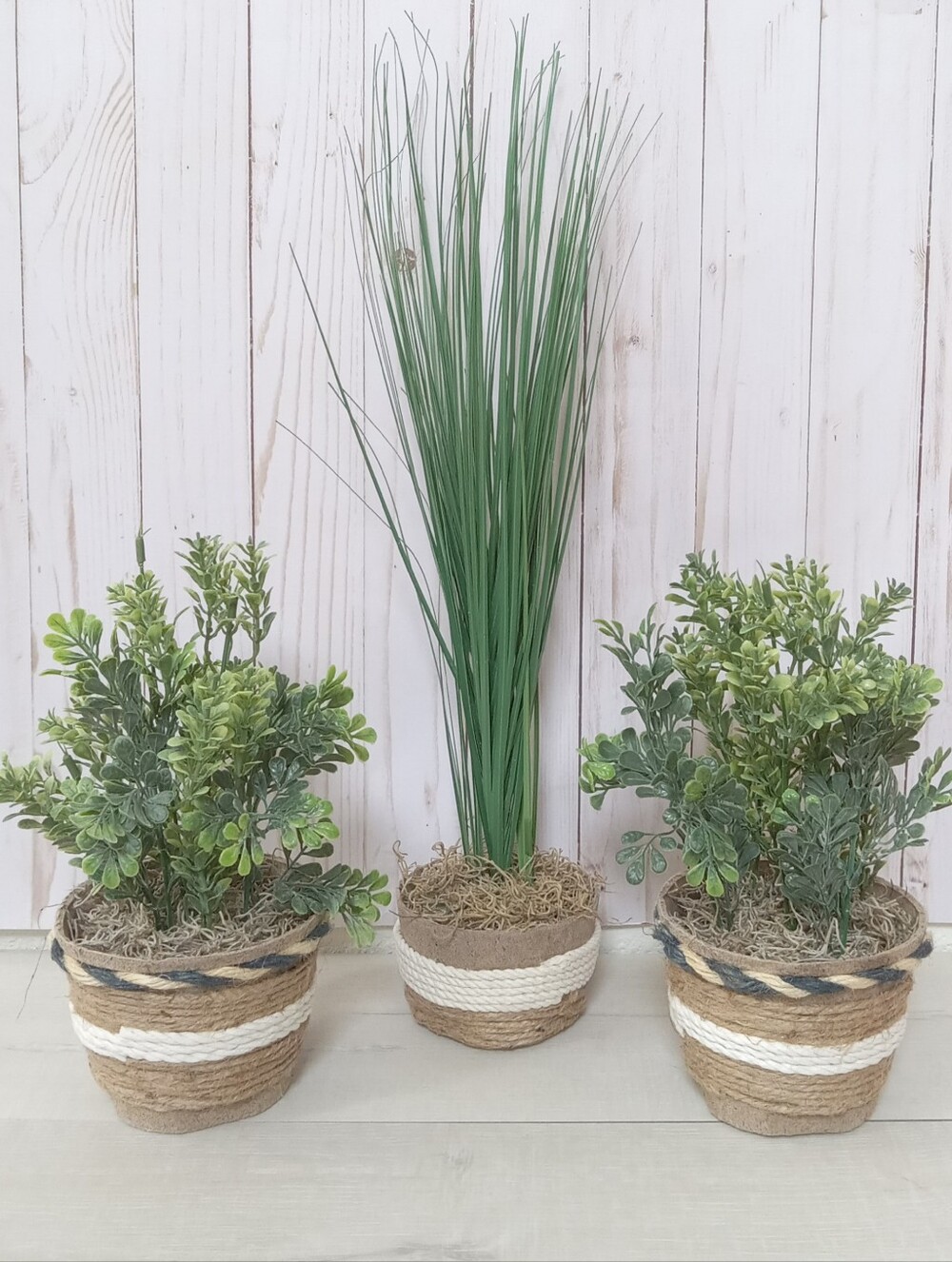 New! Set Of Three Jute Boxwood  Grass Basket Arrangements  Western Bohemian Deco